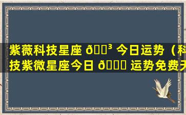 紫薇科技星座 🌳 今日运势（科技紫微星座今日 🐛 运势免费天眼查）